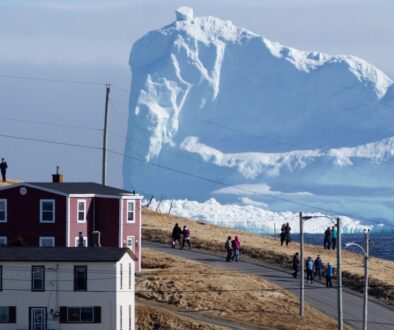 les icebergs à Terre-Neuve au Canada